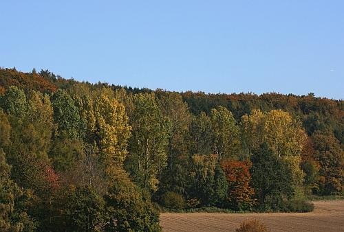 c_0051m.jpg
© wispor.de 2007